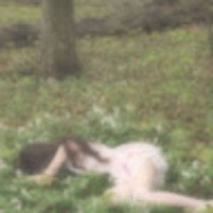 Meet your Posher, Jill